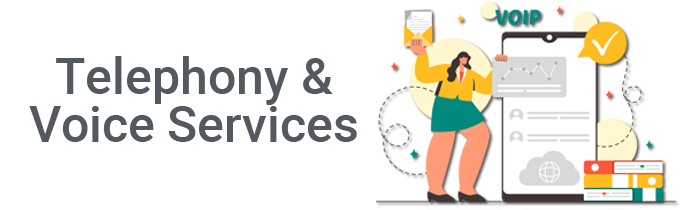 Telephony and Voice Services